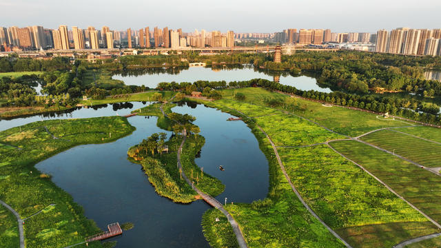 长沙  洋湖  湿地公园