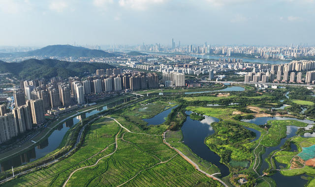 长沙  洋湖  湿地公园