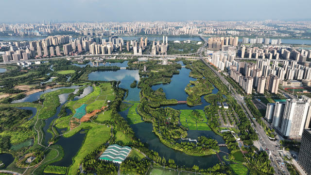 长沙  洋湖  湿地公园