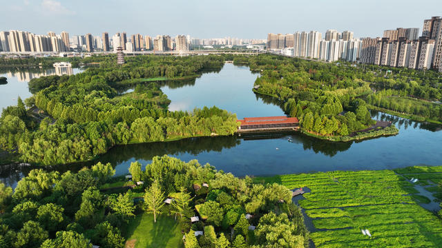 长沙  洋湖  湿地公园