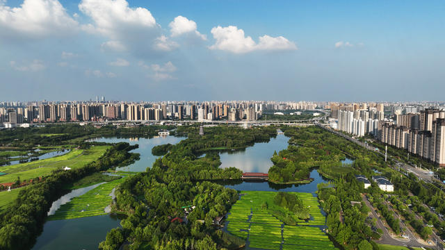 长沙  洋湖  湿地公园