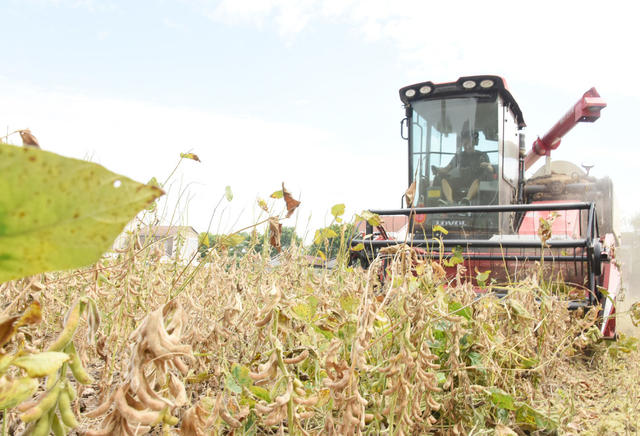 农业科技  大豆  玉米  带状套作  耕作效益   种植收入
