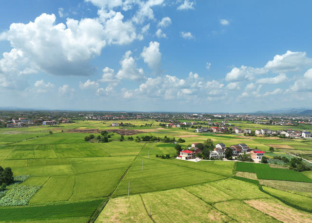 秋日 田园 风光