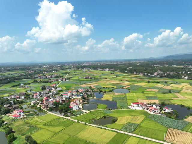 秋日 田园 风光