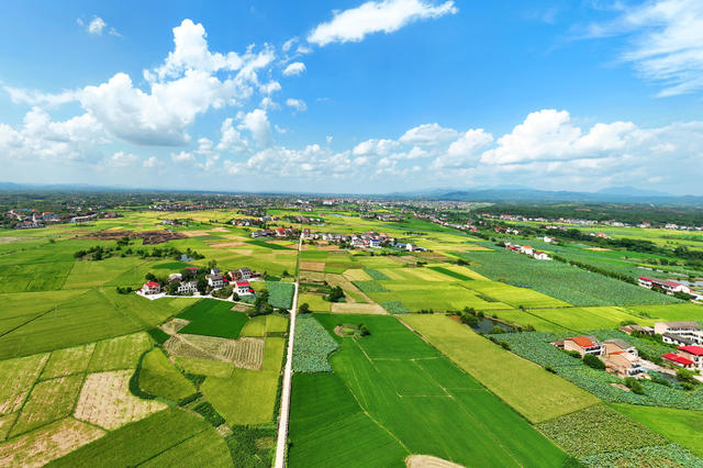 秋日 田园 风光