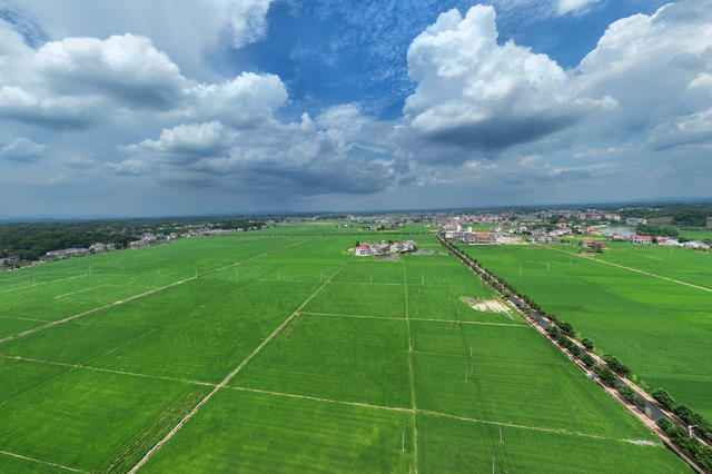 田园 风光 初秋
