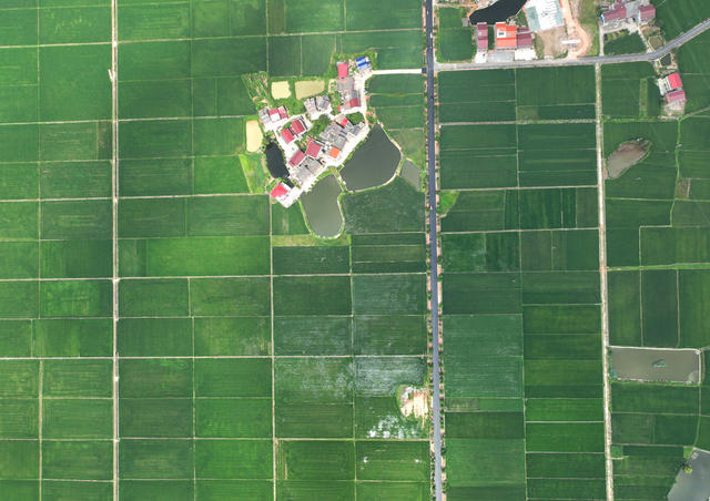 田园 风光 初秋