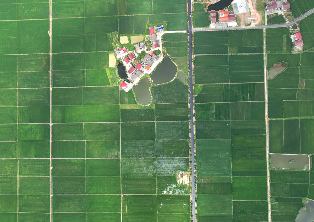 田园 风光 初秋