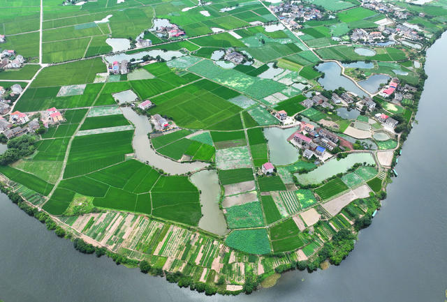 田园 夏日 美景