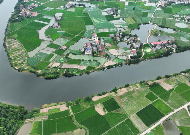 田园 夏日 美景