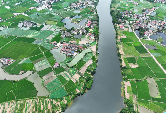 田园 夏日 美景
