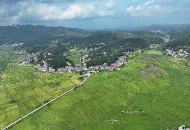 田园 风光 初秋