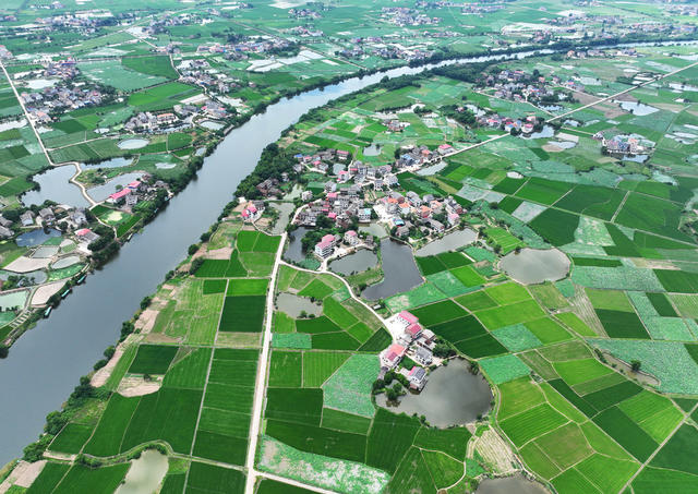 田园 夏日 美景