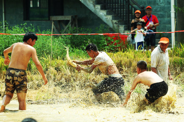 农民丰收节  乡村振兴