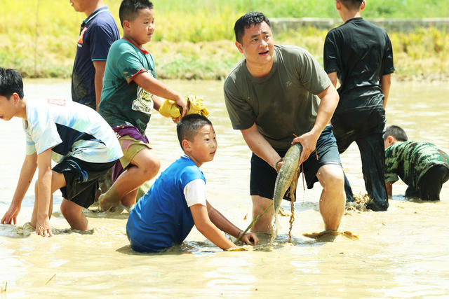 农民丰收节  乡村振兴