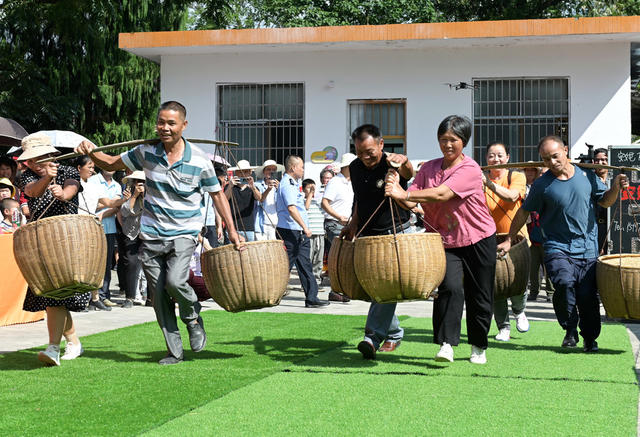 庆丰收 农村 文化 丰收节 农民 欢庆 农事 农业 趣味活动 农业