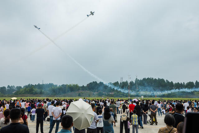 飞行  通航  飞机  飞翔伞  观众  博览会  飞机场  