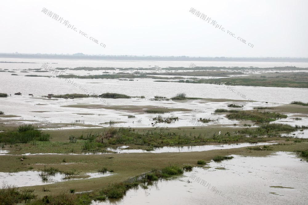 洞庭湖,湿地,候鸟,绿洲,湖水,浅滩