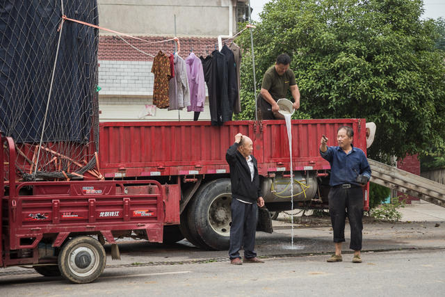 收割  水稻  射阳  修理  收割机  阴天