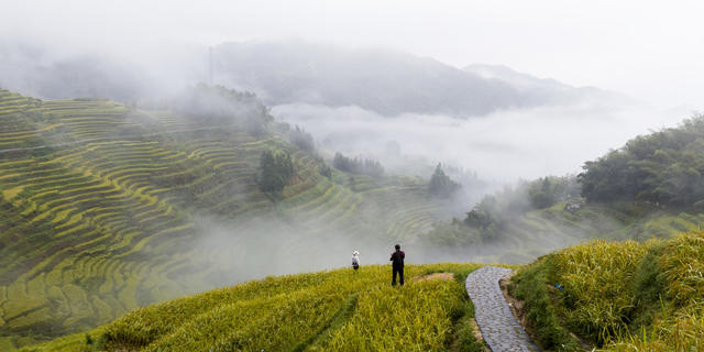 紫鹊界 紫鹊界梯田 梯田 风景 乡村美景 