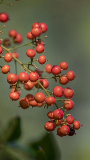 瓷都 景德镇 江西 旅游 瓷器 手艺人 