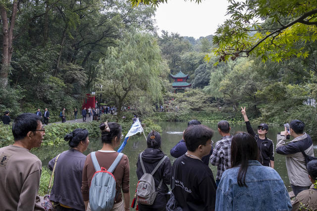 错峰游，长沙，爱晚亭，旅游