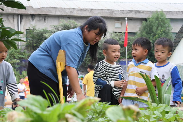 晒秋 幼儿园 中华传统民俗文化 秋天 丰收
