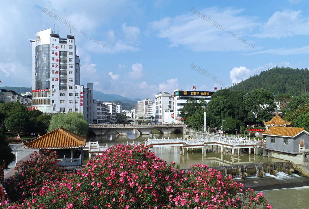 天然空调城 桂东县县城 森林 天然氧吧