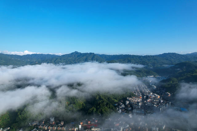 天然空调城 桂东县县城 森林 天然氧吧
