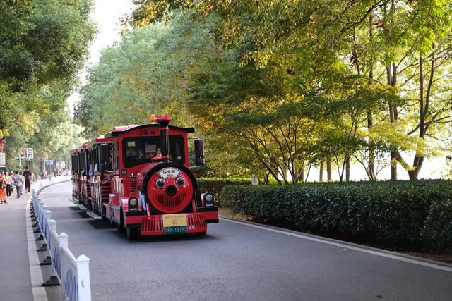 橘子洲，秋日暖阳，游客，