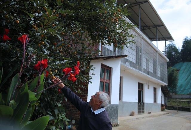湖南桂东 农村 画 门前屋后
