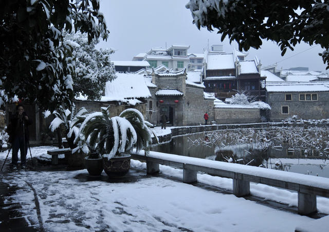荷塘  雪  美景   古城  吉首