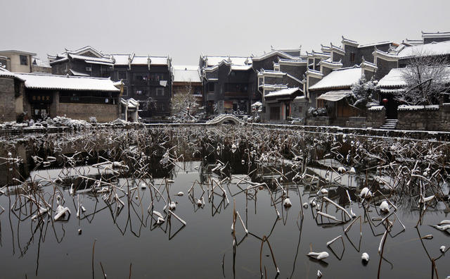 荷塘  雪  美景   古城  吉首