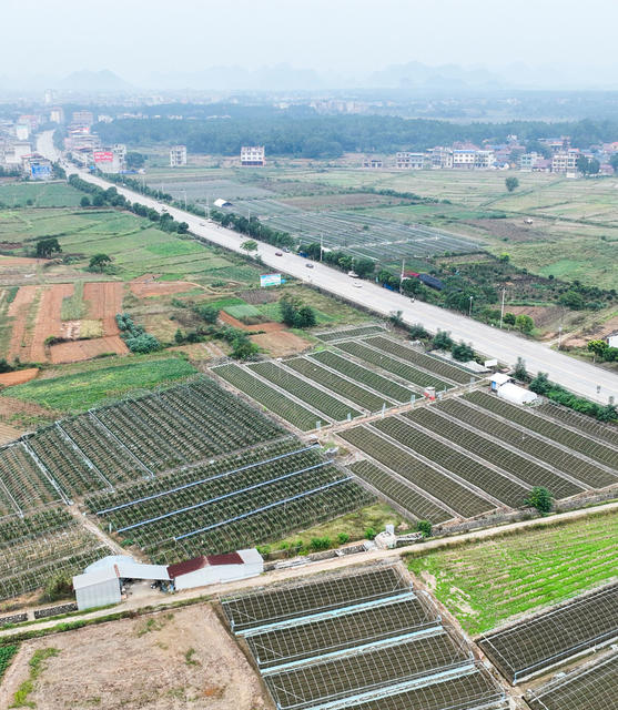 草莓
设施农业
农民
田园
秋管
道县