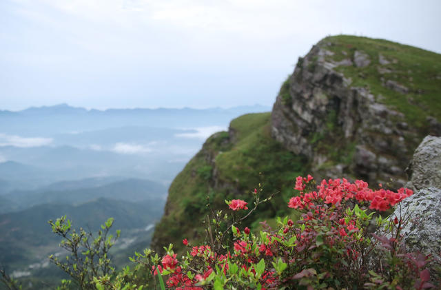 郴州桂东 青娥山 游客 全域旅游 栈道