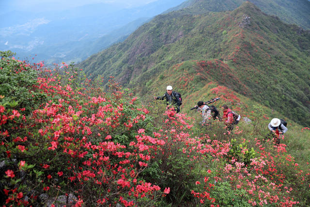 郴州桂东 青娥山 游客 全域旅游 栈道