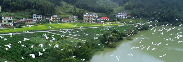 千年鸟道 “充电站” 环境 湖南桂东