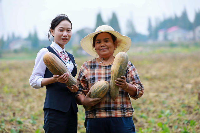 金融，普惠贷款，乡村振兴，服务“三农”