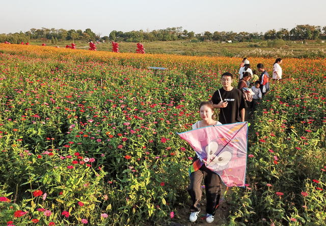 益阳囗格桑花口吸引口市民