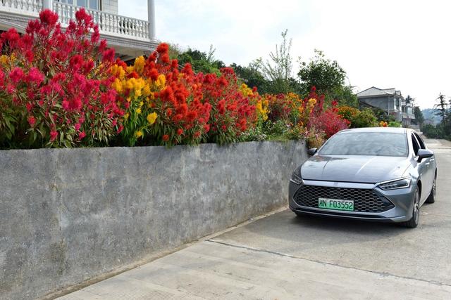 洪江市文化旅游广电体育局 杨锡建投稿