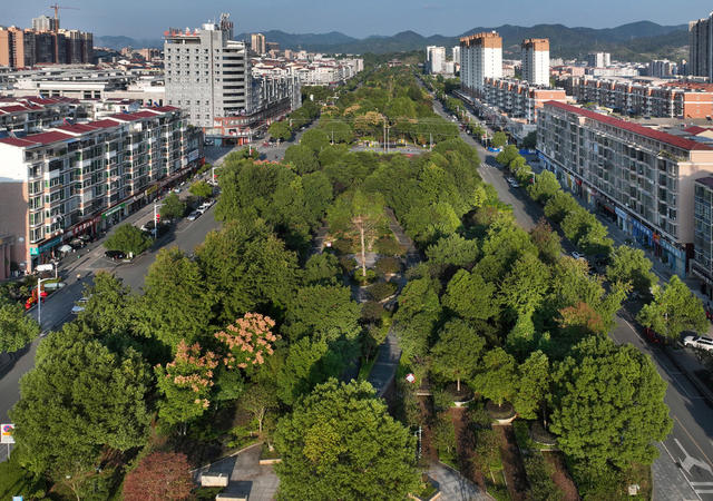 洪江市文化旅游广电体育局 杨锡建  摄影报道