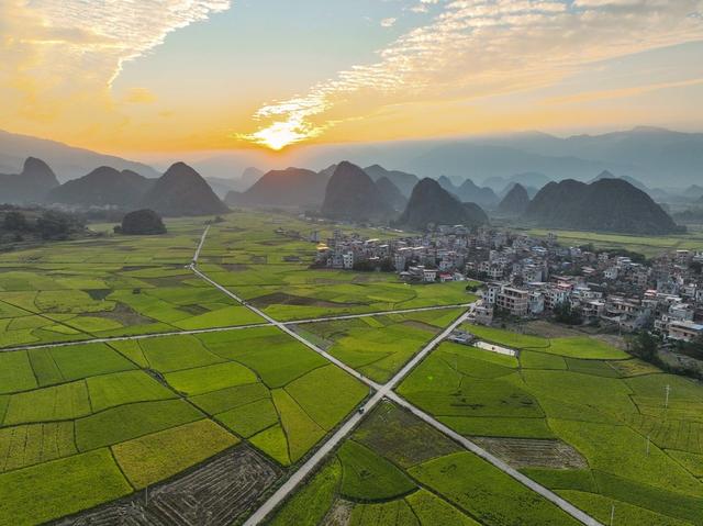 金秋
道县
秋收
晚稻
粮食
