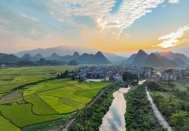 金秋
道县
秋收
晚稻
粮食
