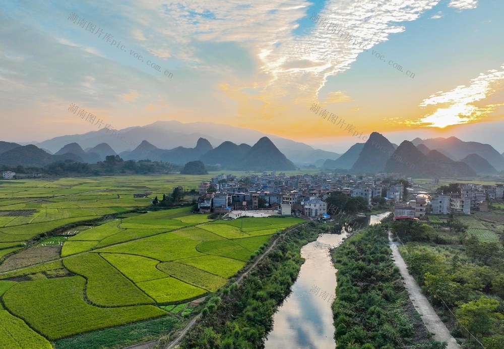 金秋
道县
秋收
晚稻
粮食
