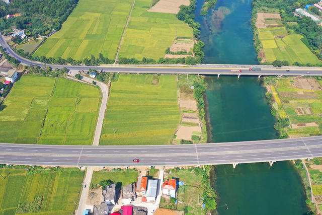 秋景 晚稻 公路