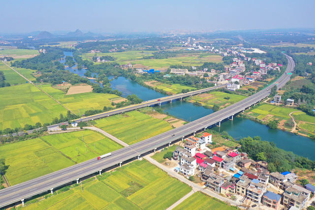 秋景 晚稻 公路