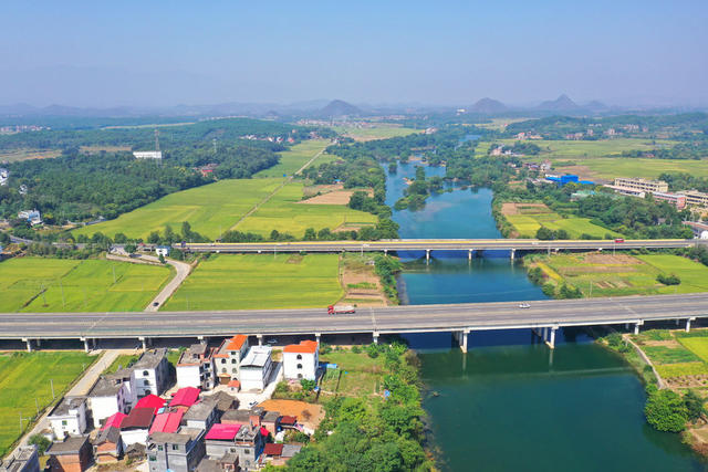 秋景 晚稻 公路