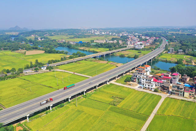 秋景 晚稻 公路