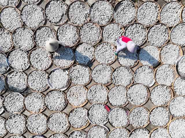 酒曲晾晒
江永
农民
产业
