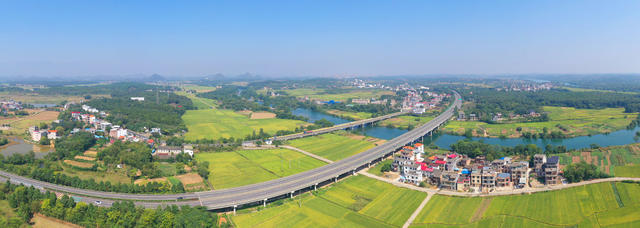 秋景 晚稻 公路